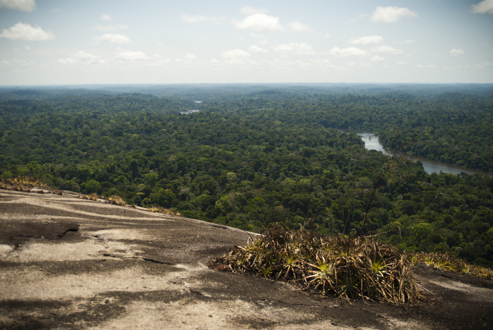 Ausblick auf den Tapanahoni-Fluss