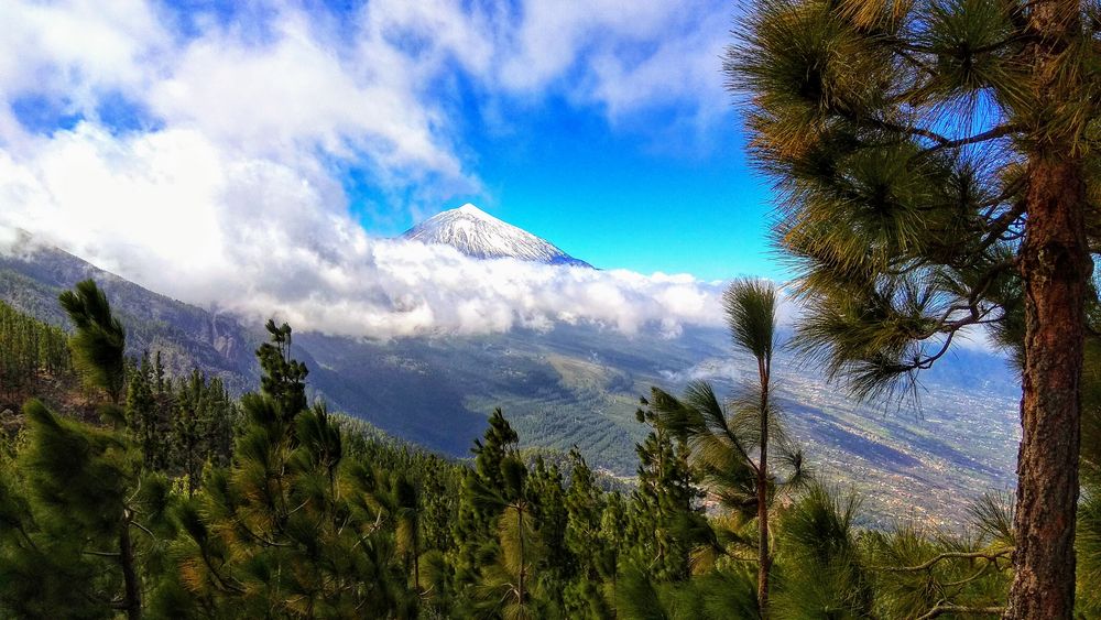 Ausblick auf den Teide - Teneriffa