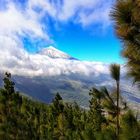 Ausblick auf den Teide - Teneriffa