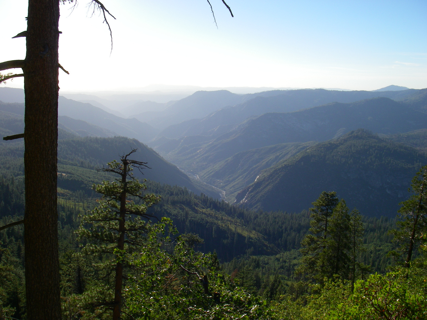 Ausblick auf den Yosemite Nationalpark II