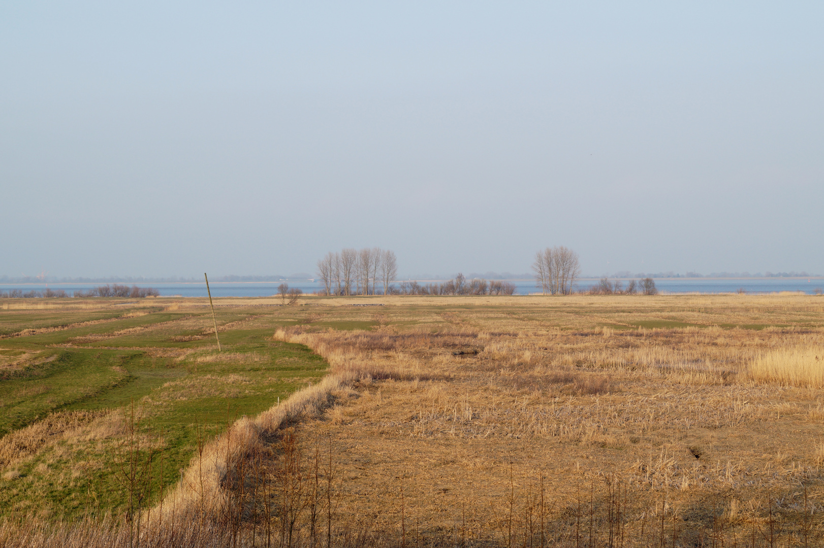 Ausblick auf die Elbe