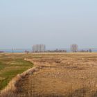 Ausblick auf die Elbe