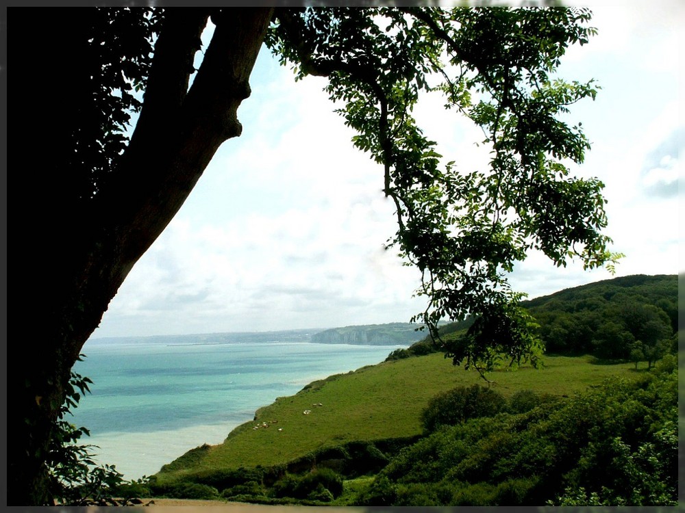 Ausblick auf die Kreidefelsen von Varengeville (Normandie)