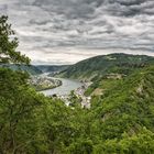 Ausblick auf die Mosel