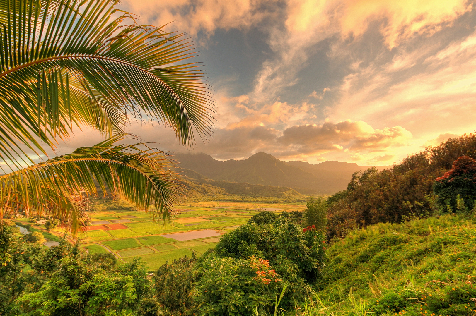 Ausblick auf die Napali Coast