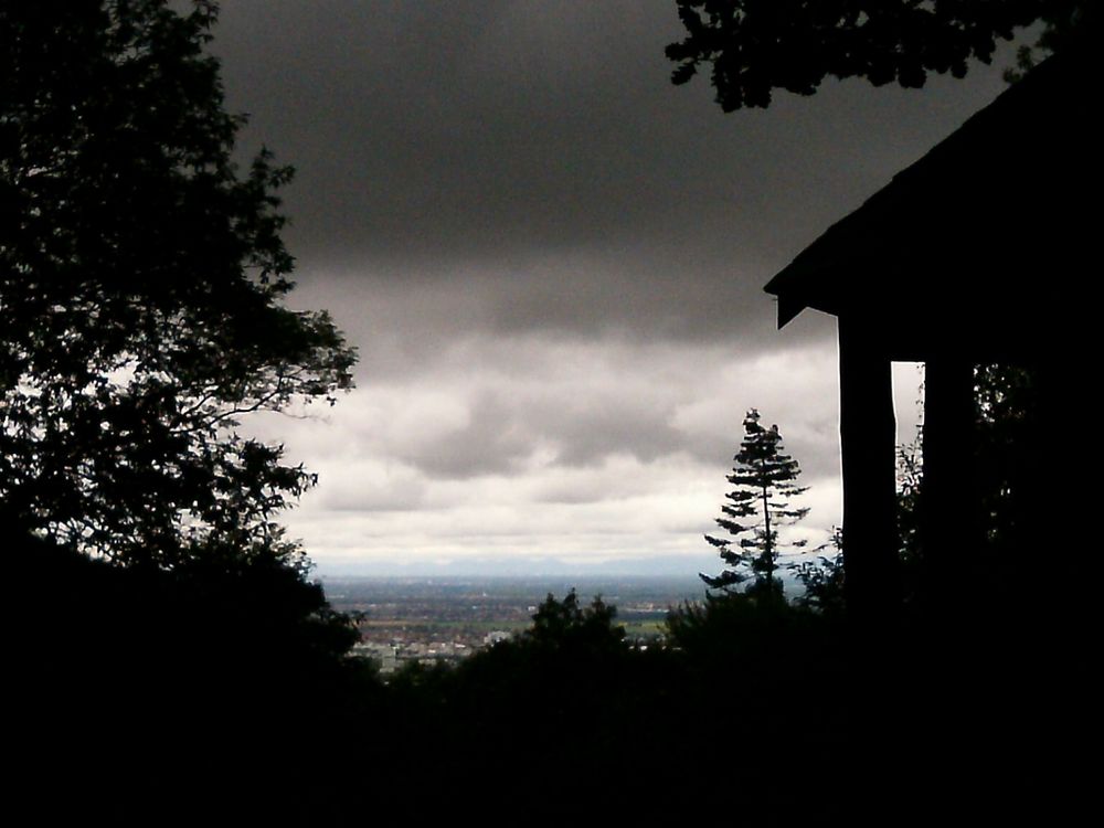 Ausblick auf die Rheinebene