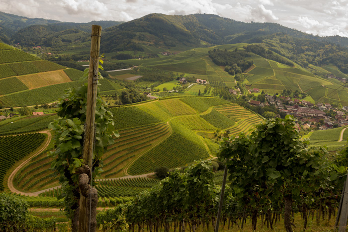 Ausblick auf eine wunderschöne Landschaft zu Fusse der Schloss Stauffenberg