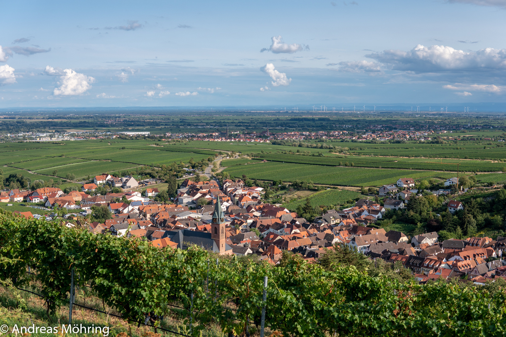 Ausblick auf Maikammer