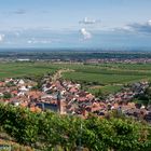 Ausblick auf Maikammer