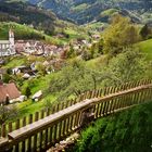 Ausblick auf Ottenhöfen von der Köninger-Hof Mühle