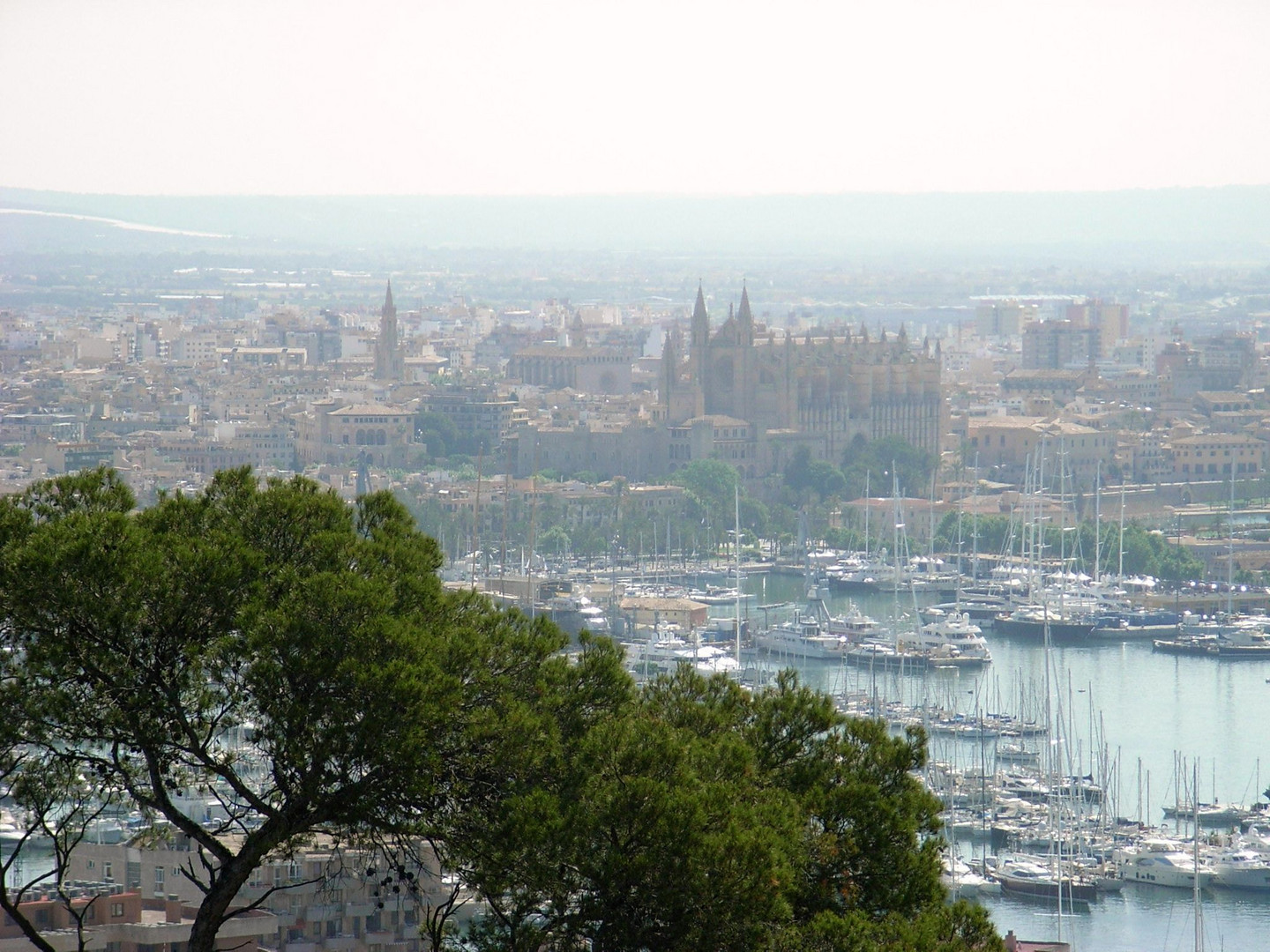 Ausblick auf Palma