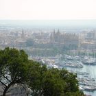 Ausblick auf Palma