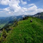 Ausblick auf Schönenbachvorsäß