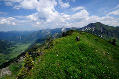 Ausblick auf Schönenbachvorsäß