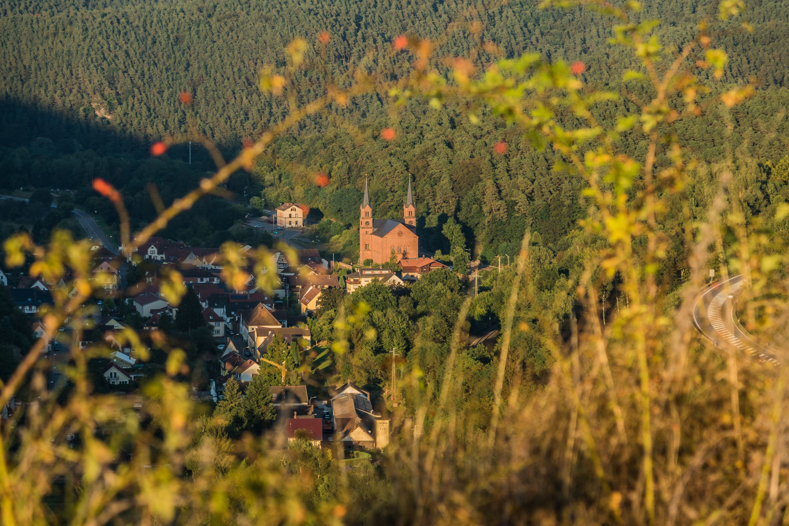 Ausblick auf Wilgartswiesen