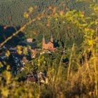 Ausblick auf Wilgartswiesen