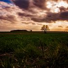 Ausblick aufs Feld