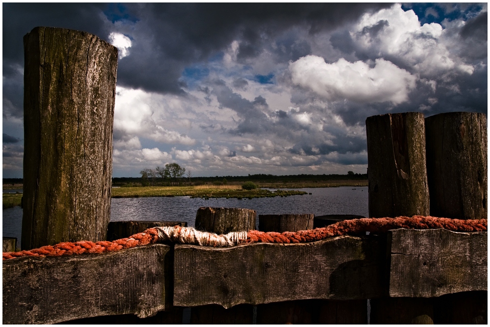 Ausblick aufs Moor