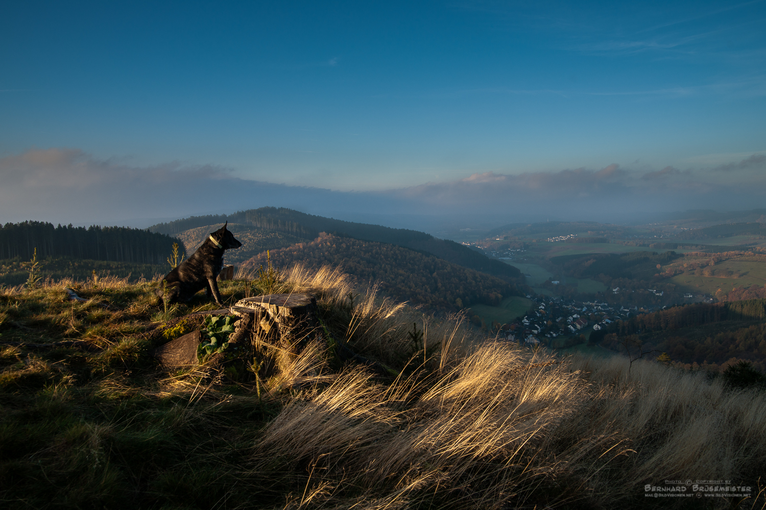 Ausblick aufs Netphetal