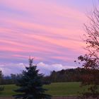 Ausblick aus dem Fenster