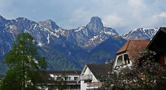 Ausblick aus einem Garten in Thun/ CH