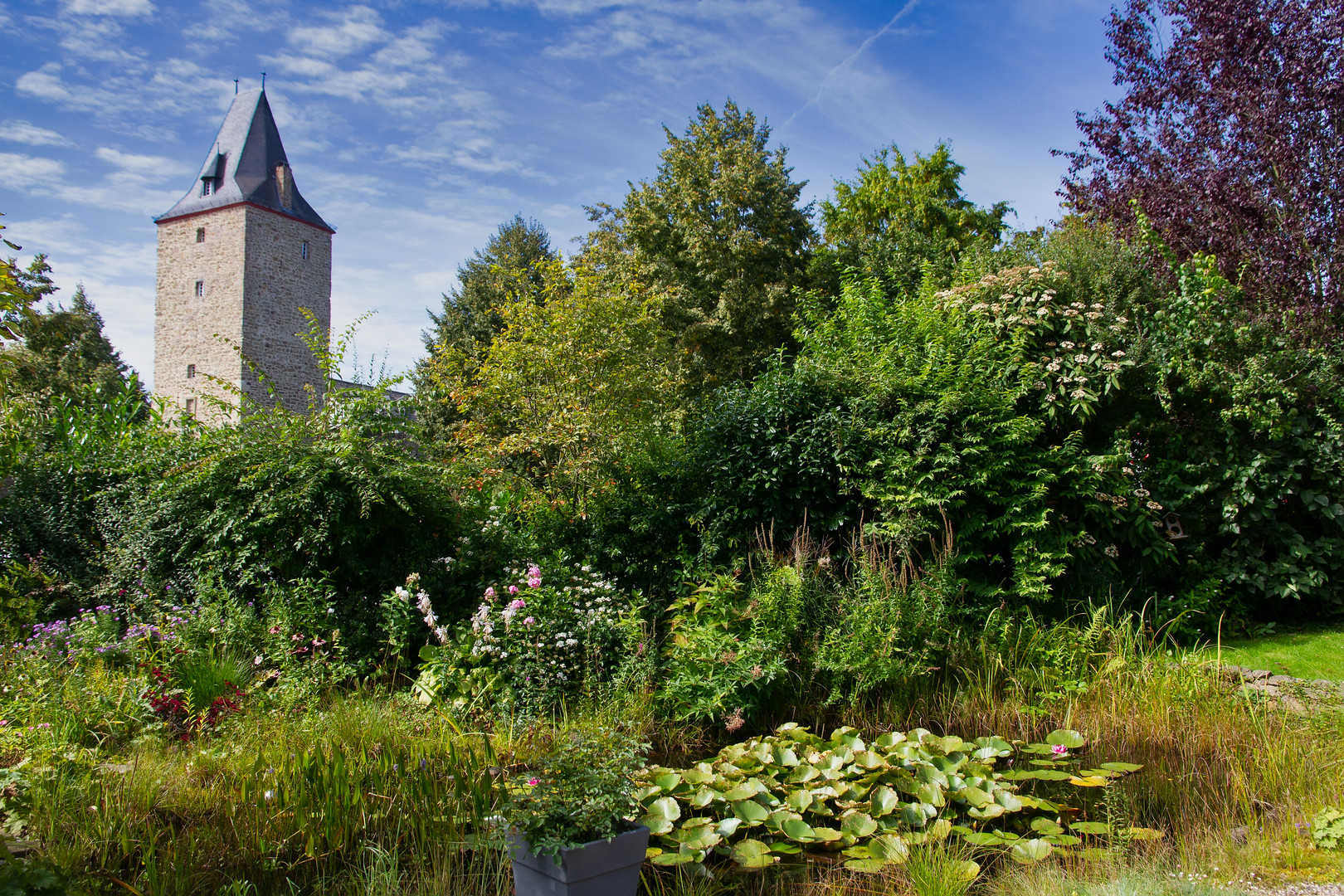 Ausblick aus einem privaten Garten