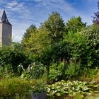 Ausblick aus einem privaten Garten