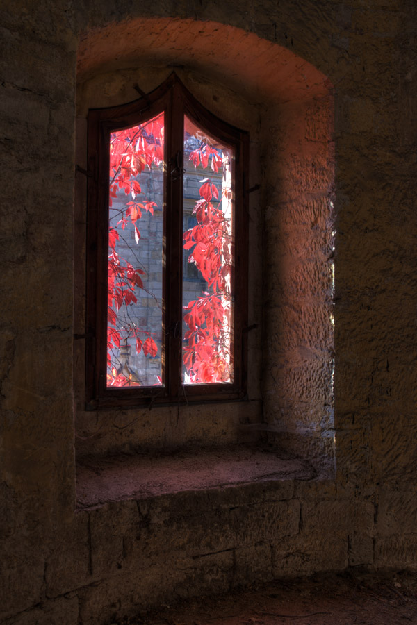 Ausblick aus Rapunzel Turmzimmer....