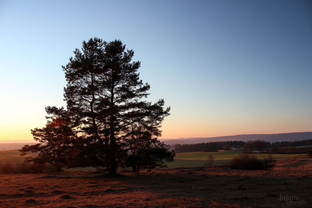 Ausblick