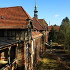 Ausblick (Beelitz Heilstätten)