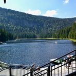 Ausblick beim Kaffeetrinken auf den Großen Arbersee…