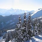 Ausblick beim Mittagessen