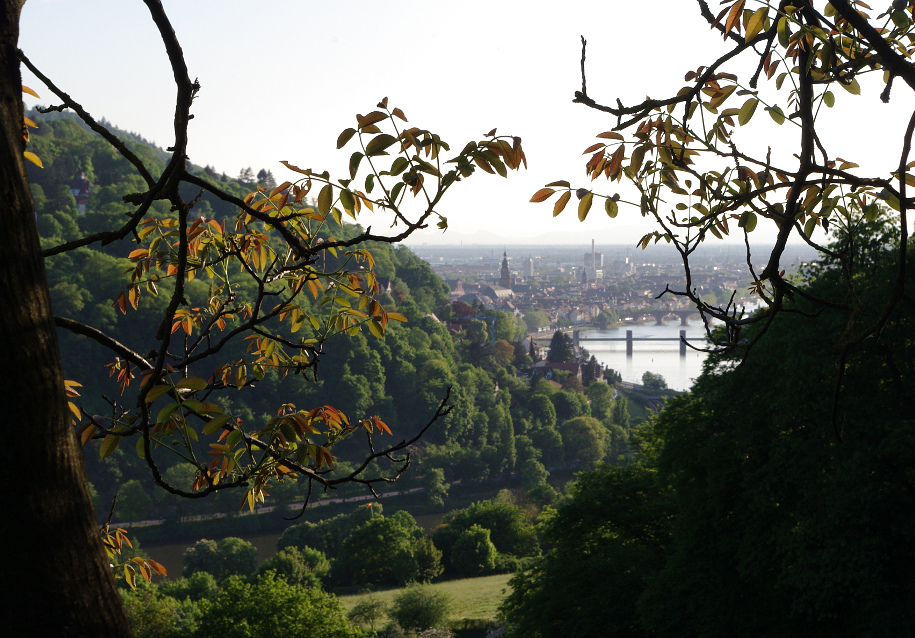 Ausblick beim Nußbaum