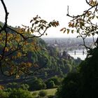 Ausblick beim Nußbaum