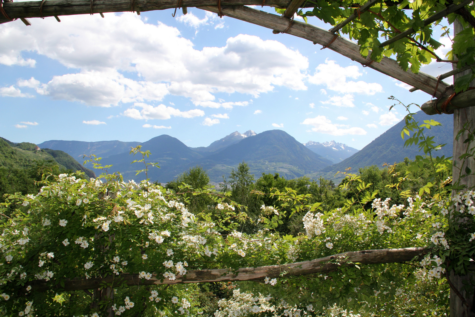 Ausblick Botanischer Garten Trauttmansdorff - Meran