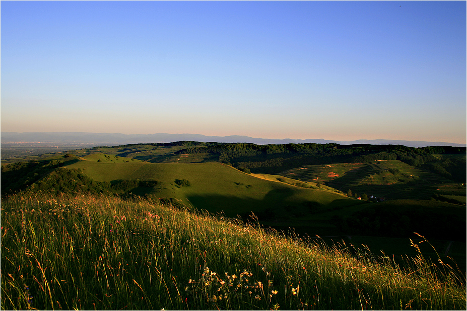 ausblick