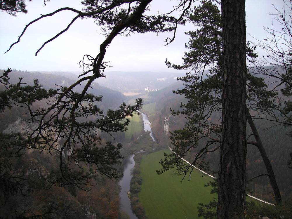 Ausblick