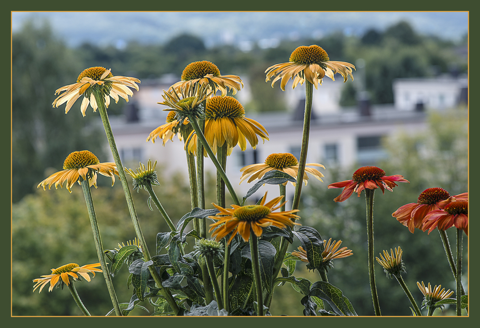 Ausblick