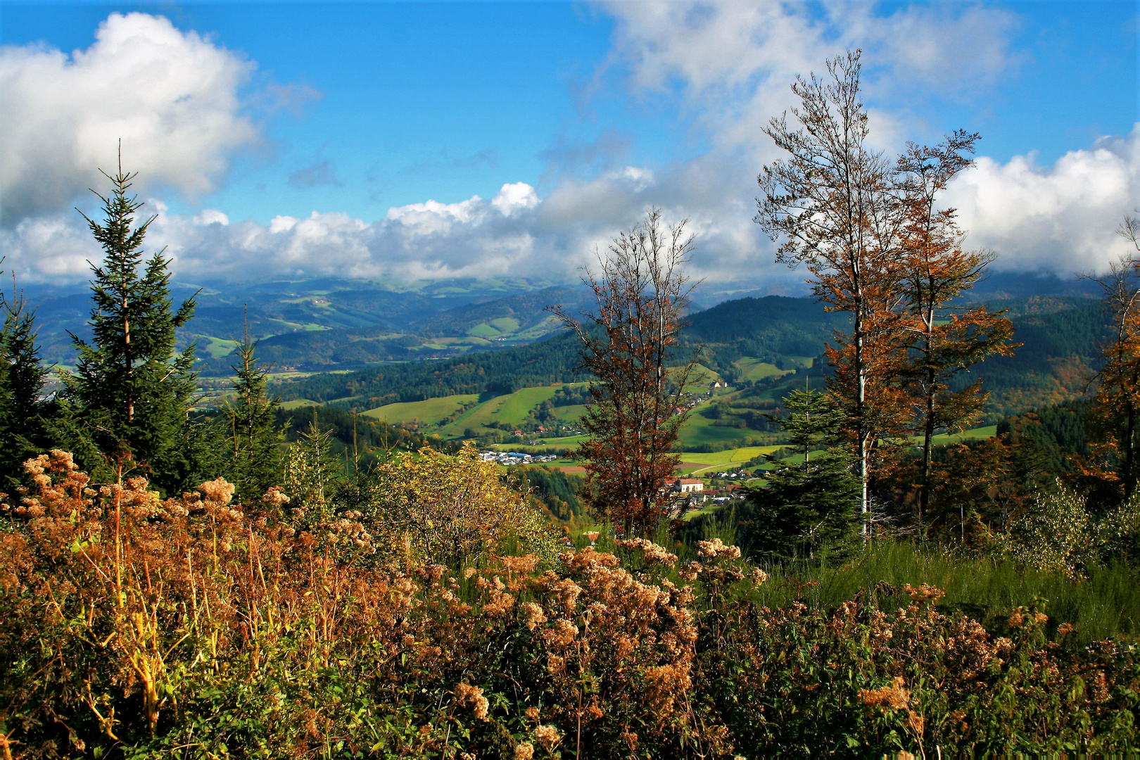 ausblick,