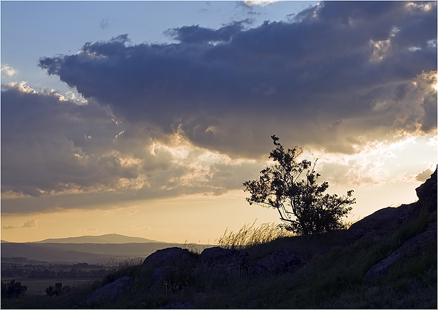 Ausblick ...