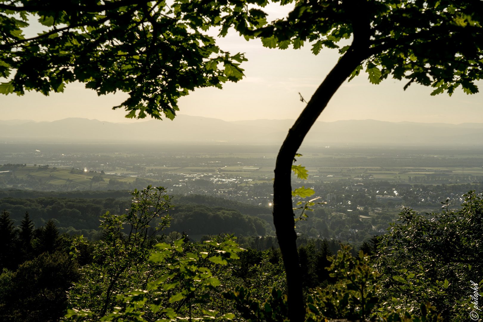 Ausblick