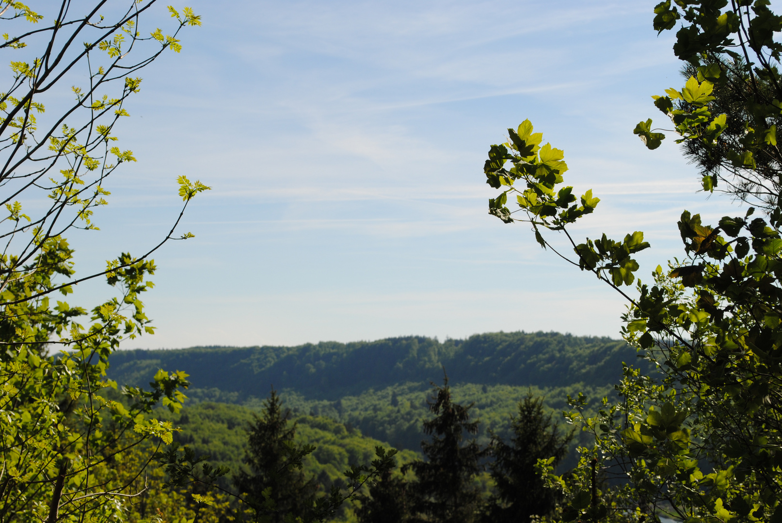 Ausblick