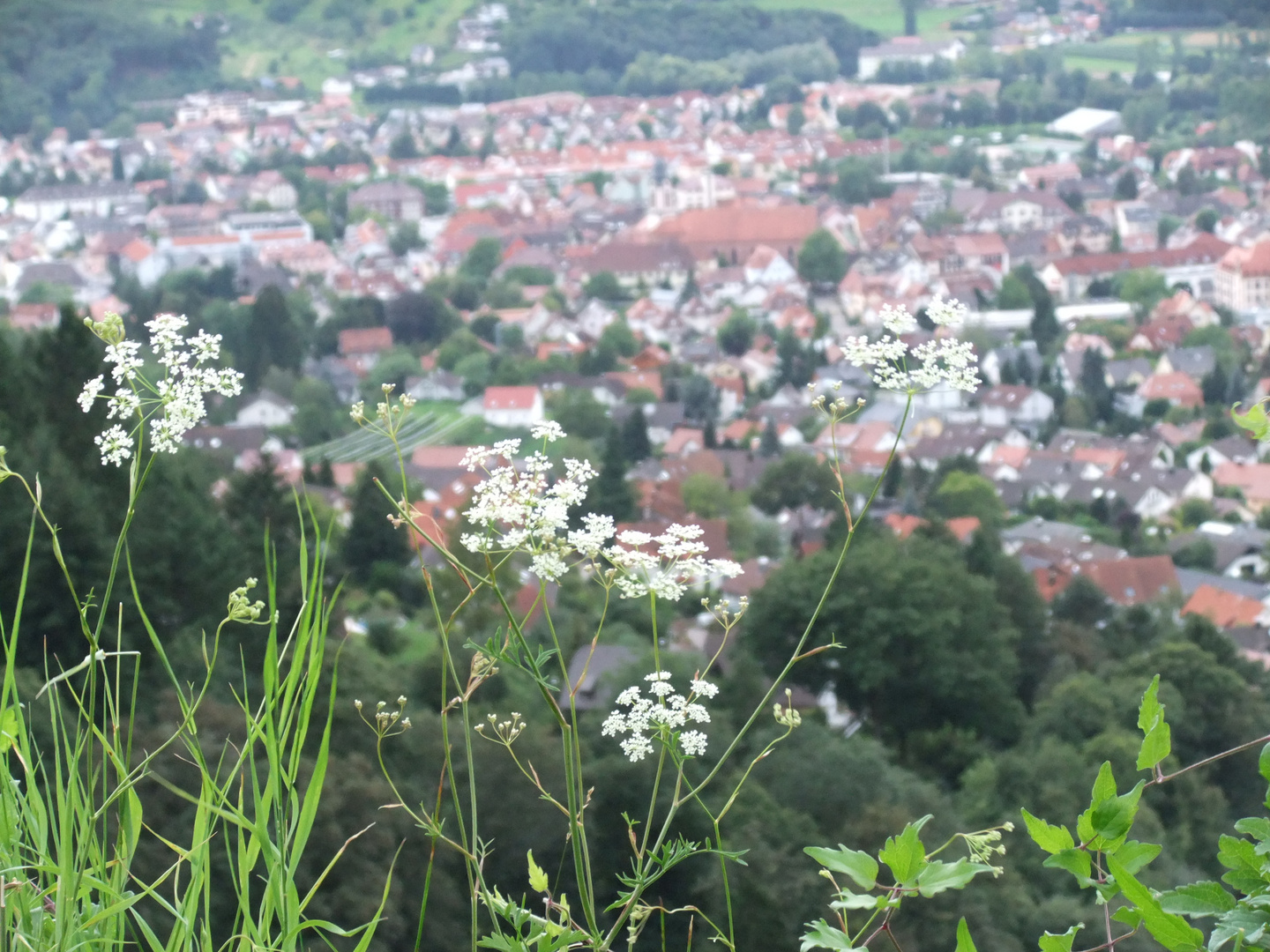 Ausblick