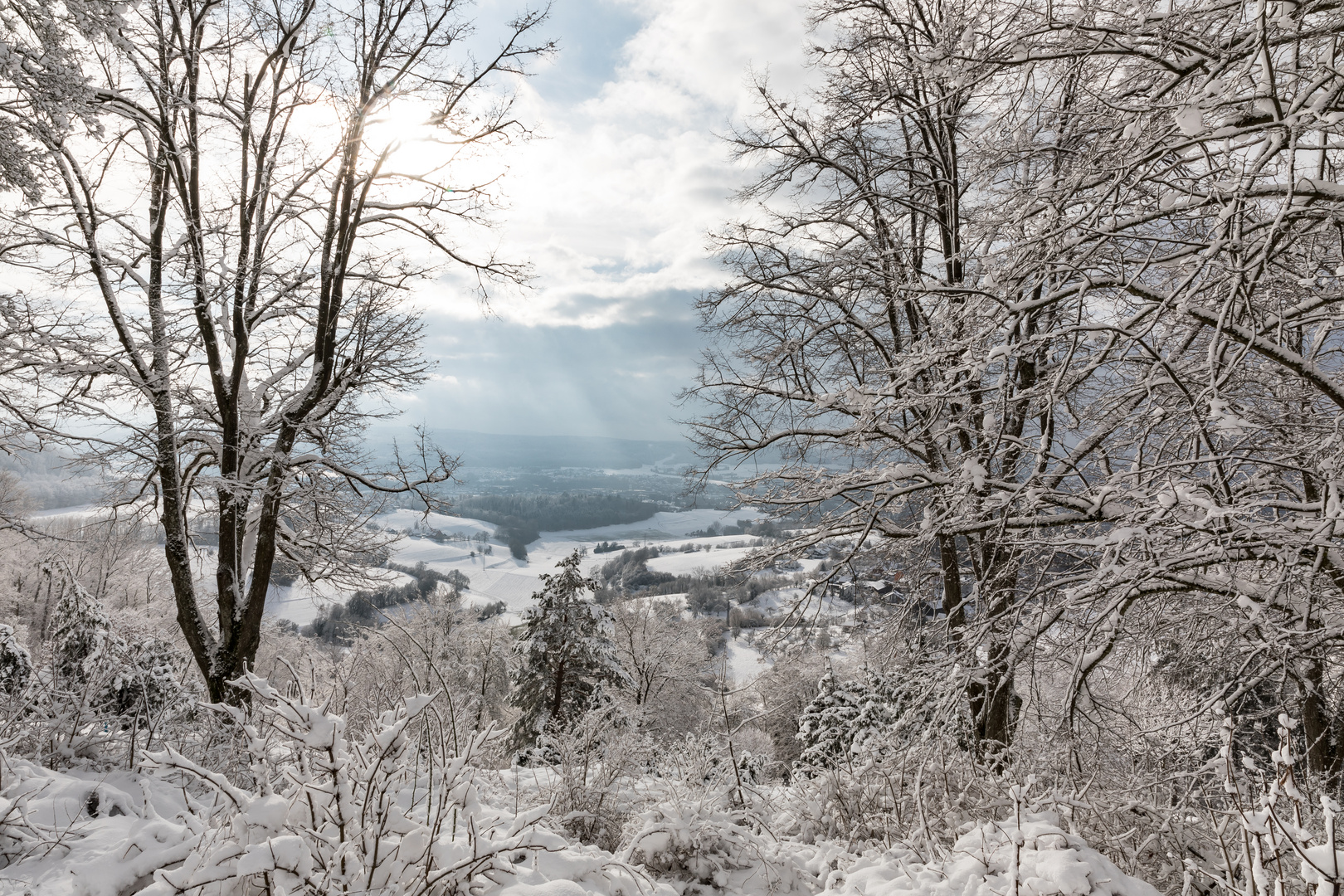 Ausblick