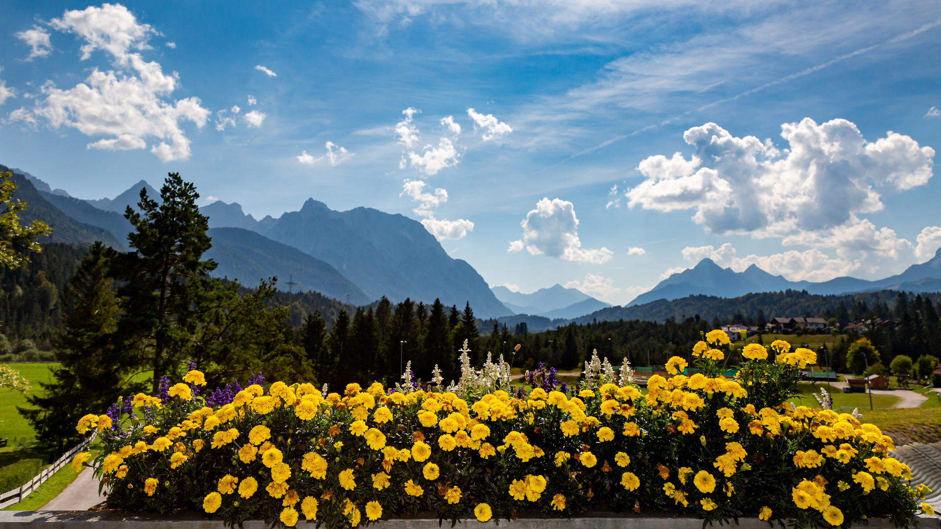 Ausblick