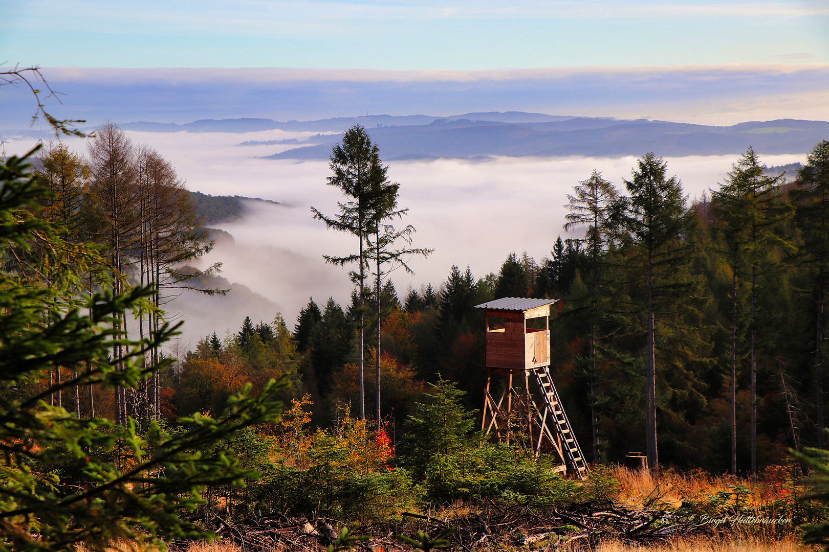 Ausblick