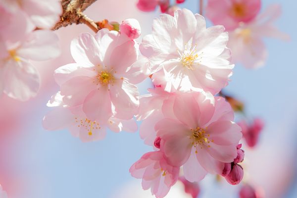 - Ausblick für 2023 -