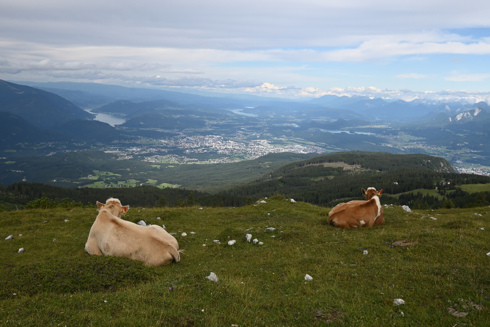 Ausblick genießen