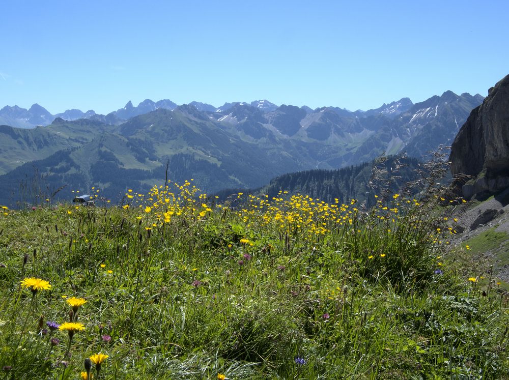 Ausblick Hahnenkopf