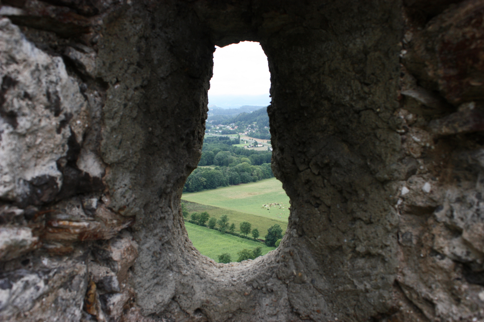 Ausblick im Durchblick